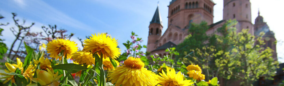 Blumen vor dem Dom auf dem Liebfrauenplatz