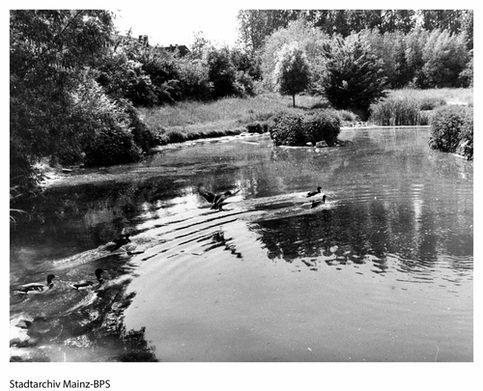 Der Lerchenberger Teich früher