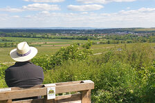 Bänkelches Wanderung Laubenheim