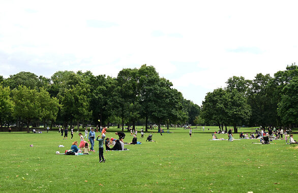 Liege- und Spielwiese im Mainzer Volkspark