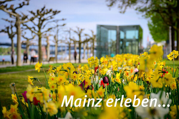 Die Promenade am Rheinufer. &copy; Landeshauptstadt Mainz